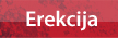 Erekcija