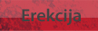 Erekcija