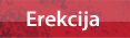 Erekcija