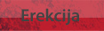 Erekcija