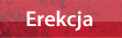 Erekcja