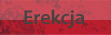Erekcja
