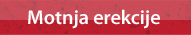 Motnja erekcije