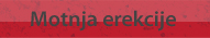 Motnja erekcije