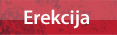 Erekcija