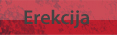 Erekcija