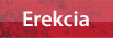 Erekcia