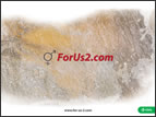 ForUs2 Background 1