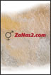 ZaNas2.com iPhone ozadje 2