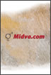 Midva.com iPhone ozadje 2