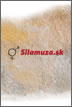 Silamuza.sk pre iPhone 2